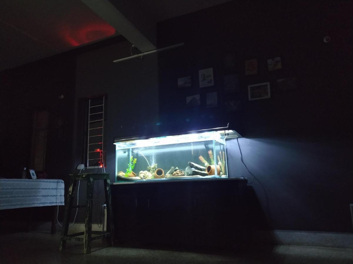 מדגאון Monkey Mind Hostel מראה חיצוני תמונה