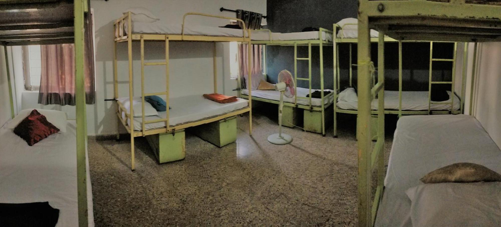 מדגאון Monkey Mind Hostel חדר תמונה